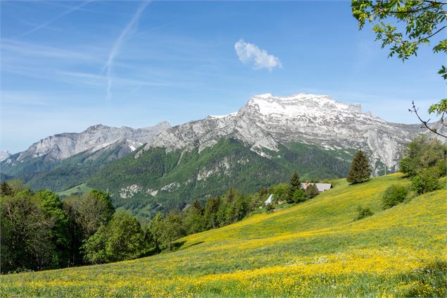 panorama montagne - Office de Tourisme Thônes Coeur des Vallées