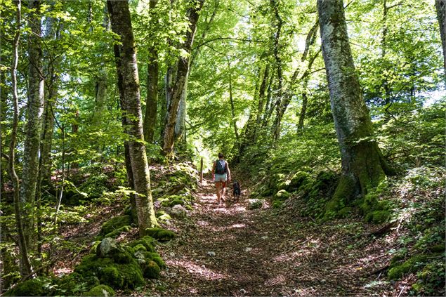 sentier - Office de Tourisme Thônes Coeur des Vallées