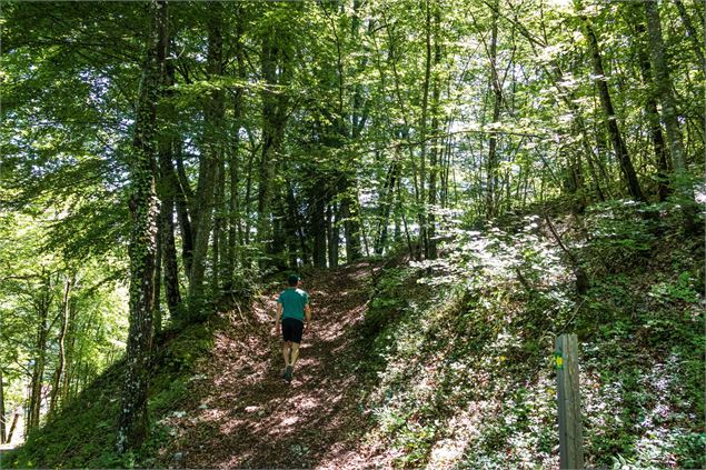 sentier - Office de Tourisme Thônes Coeur des Vallées