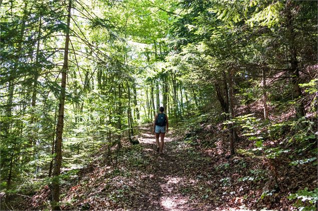 sentier - Office de Tourisme Thônes Coeur des Vallées