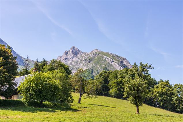 panorama - Office de Tourisme Thônes Coeur des Vallées