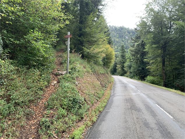 Sentier de la grotte - Maxime Michel