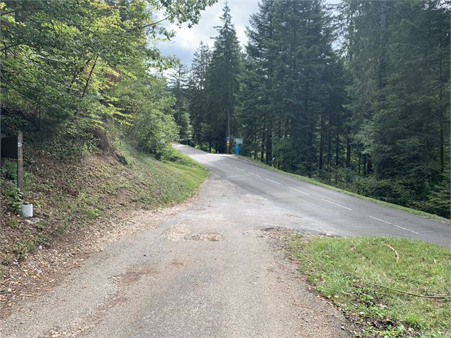 Sentier qui emmène à la route - Maxime Michel