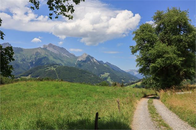 sentier - Marion Tavernier