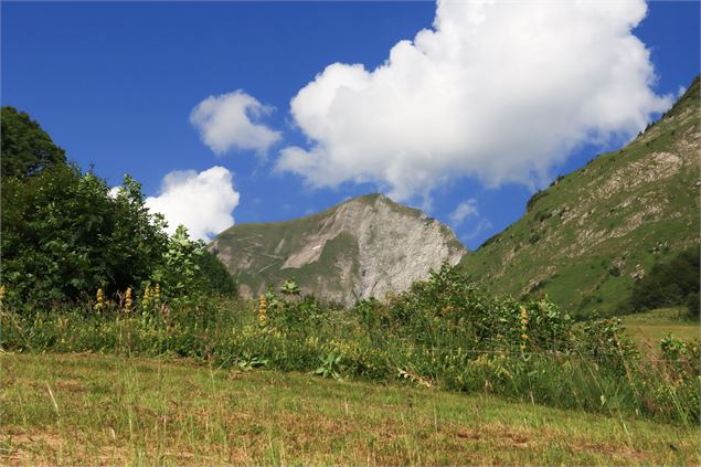 panorama - Marion Tavernier