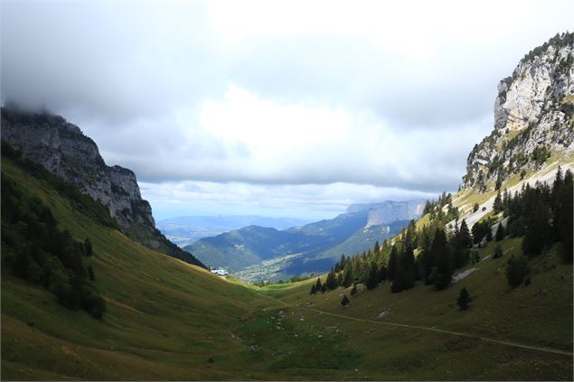 Paysage - OT Thônes Coeur des Vallées