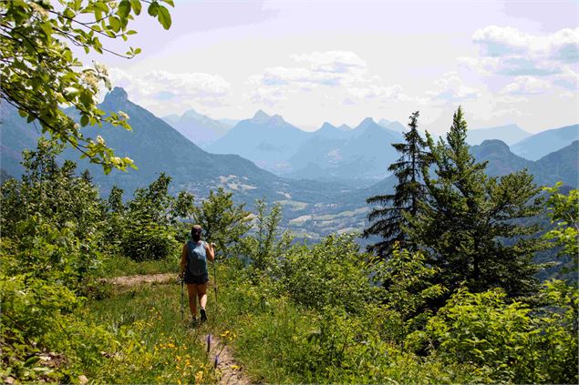 Sentier et panorama - OT Thônes Coeur des Vallées