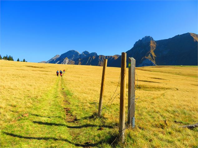 Sentier - Emmanuel Blanchet