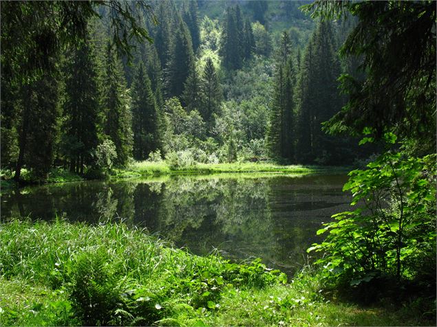 Lac de Pététoz