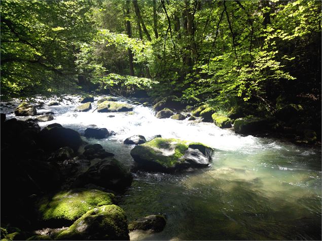 Rivière le Brevon - Office de Tourisme des Alpes du Léman