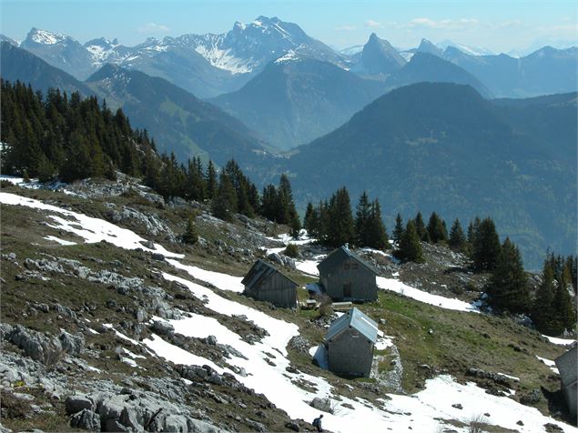 Nifflon d'En Haut - Office de Tourisme des Alpes du Léman