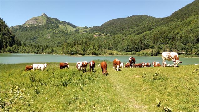 Lac de Vallon - OT Alpes du Léman - Prépare ta valise