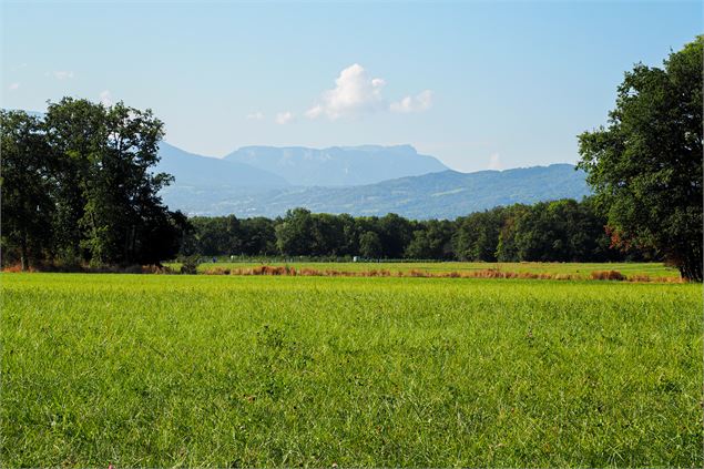 Vue sur le Parmelan - Emeline Jonnon