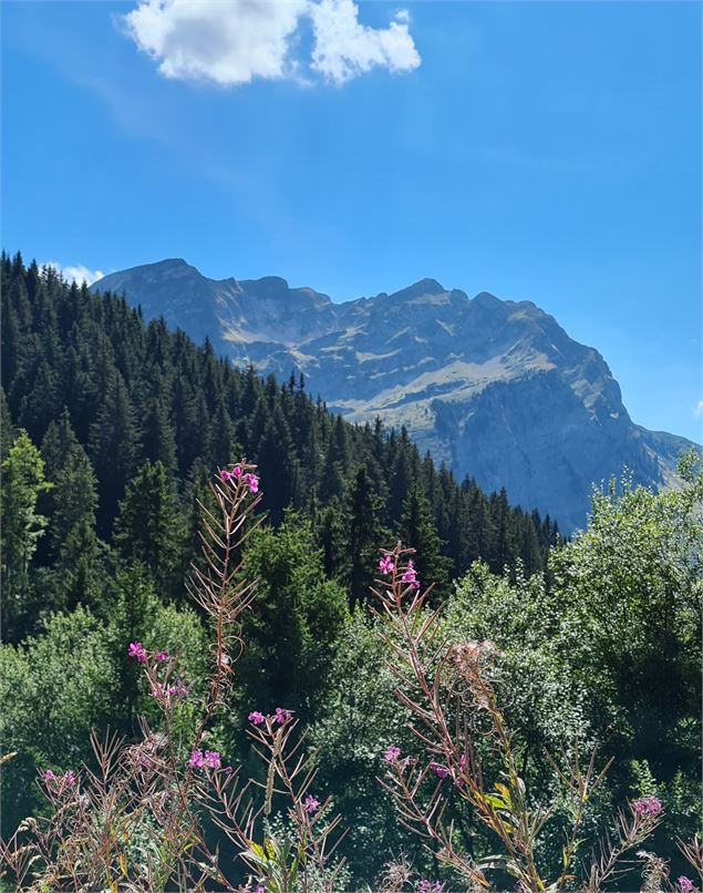 Vue sur le Roc d'Enfer en arrivant au sommet du Torchon - OT Alpes du Léman - VS