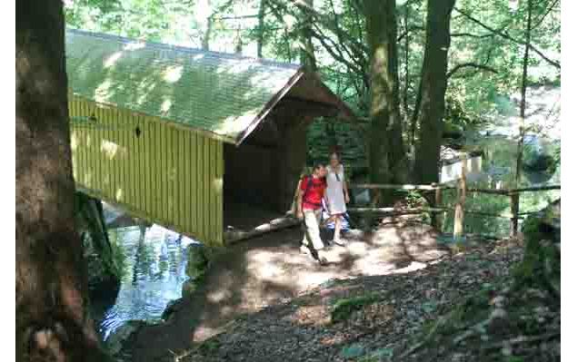 Le Pont couvert