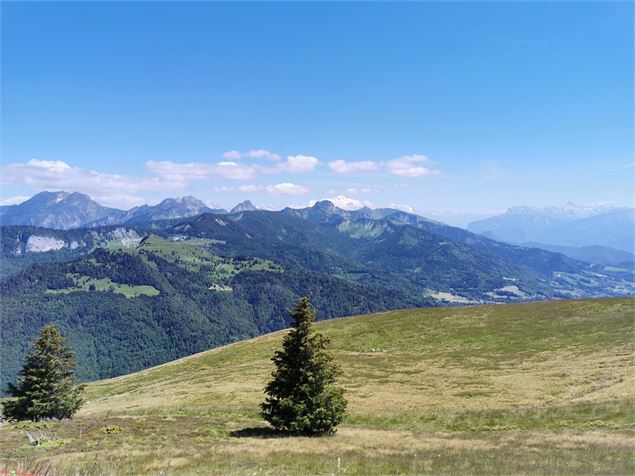 Vue Mont-Blanc - OT Alpes du Léman