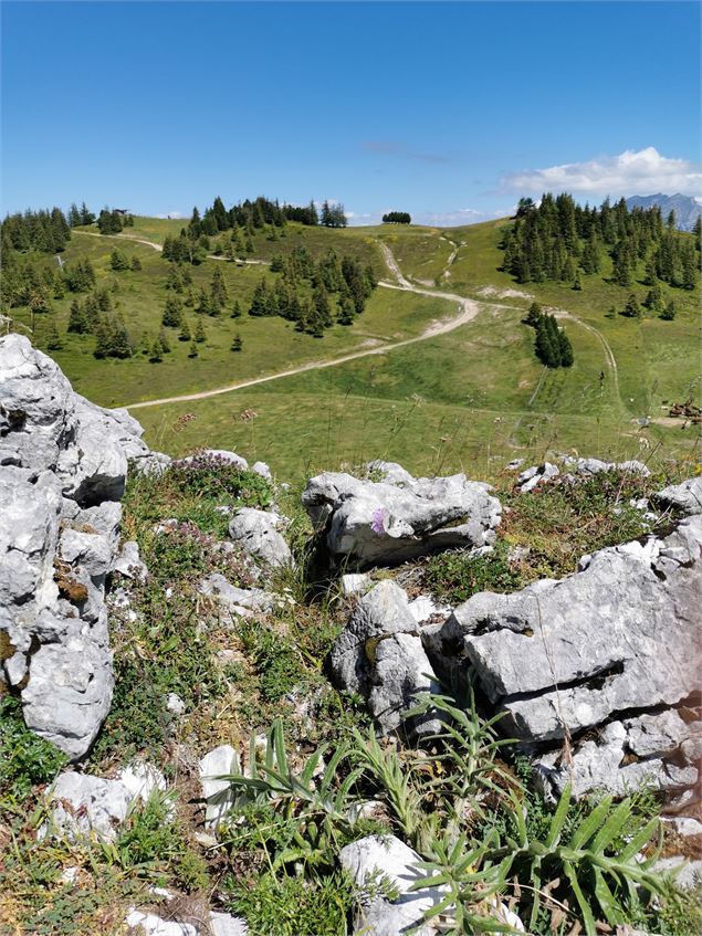 Vue sur le sommet d'Hirmentaz - OT Alpes du Léman