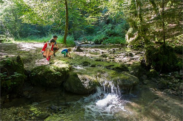 Sentier de la Sarsouille - TourismeHautBugey©2014_MarcChatelain