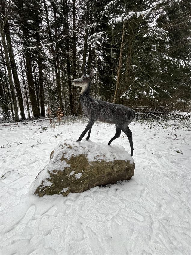 La piste des animaux en hiver - B.Morel