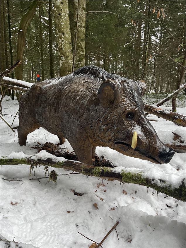 La piste des animaux en hiver - B.Morel