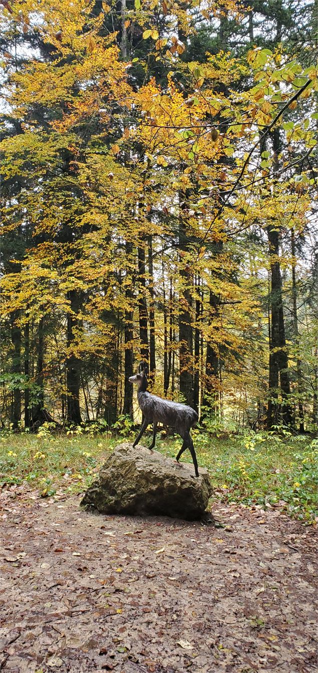 Balade - La piste des animaux - B.Morel