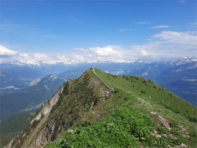 Photo prise depuis le sommet du Môle - Maison des Brasses