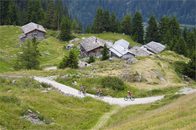 Verbier rouge