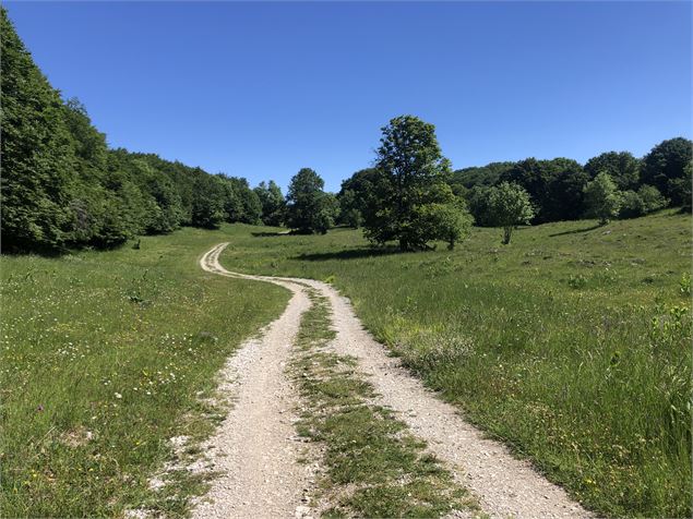 Chemin sur le Plateau de Retord - M.Ballet