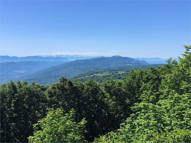 Panorama sur le Grand Colombier, la Chartreuse et le massif des Belledonne depuis le Crêt du Nu - M.