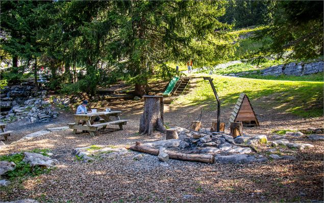 Espace ombragé avec deux tables de pique-nique (N°2 & 3) et deux barbecues - OT Flaine-Candice Genar