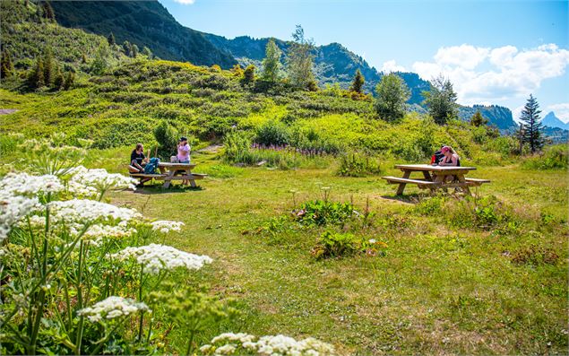 Deux tables de pique-nique vue Pointe Percée en fond - OT Flaine-Candice Genard