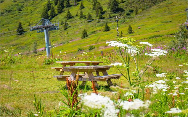 Deux tables de pique-nique vue côté télésiège du lac - OT Flaine-Candice Genard