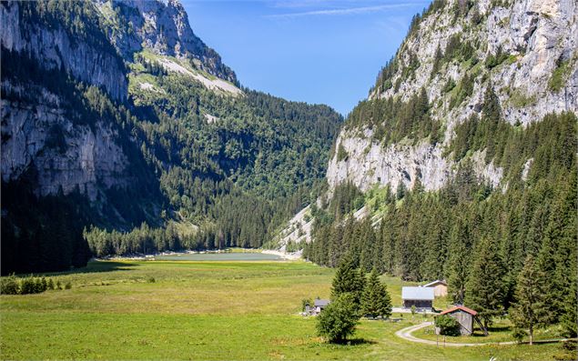 Vue sur la combe du lac de Flaine en arrivant du chemin de randonnée - OT Flaine-Candice Genard