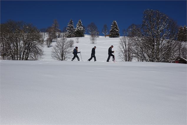 Sur la route du col de Cenise - CAMT