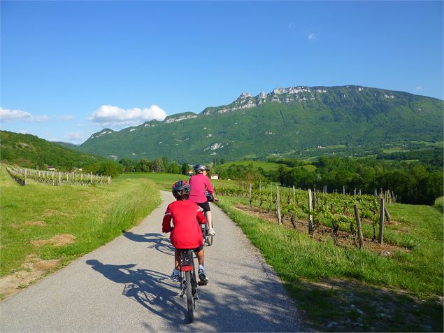 Circuit du Vignoble - © Savoie Mont Blanc - Lansard