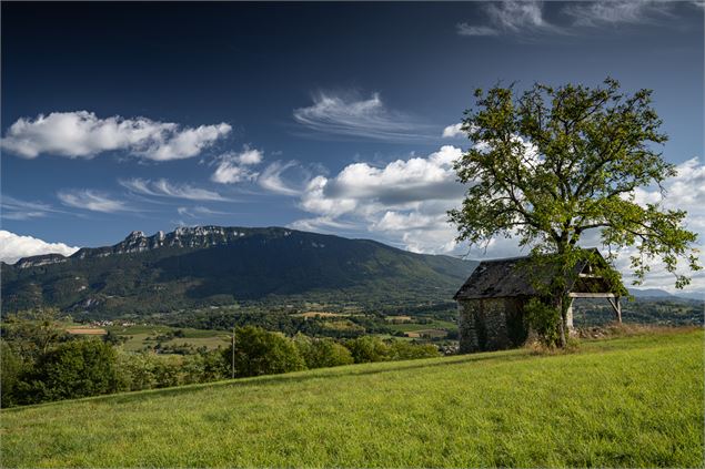 Vue prairies et Dent du Chat - Henri De Caevel