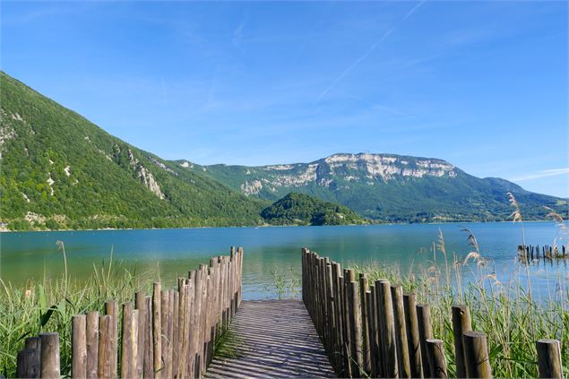 Vue du jardin de la Maison du lac - M.Parsy