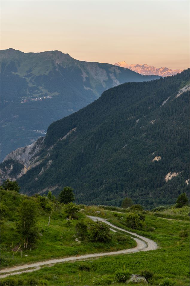 Chalets de la Buffaz - Thibaut BLAIS