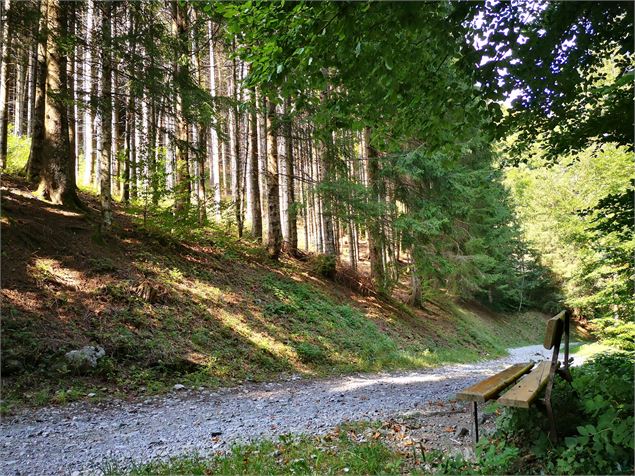 Circuit du Crêt Brûlé - ©Emmanuelle Valdenaire