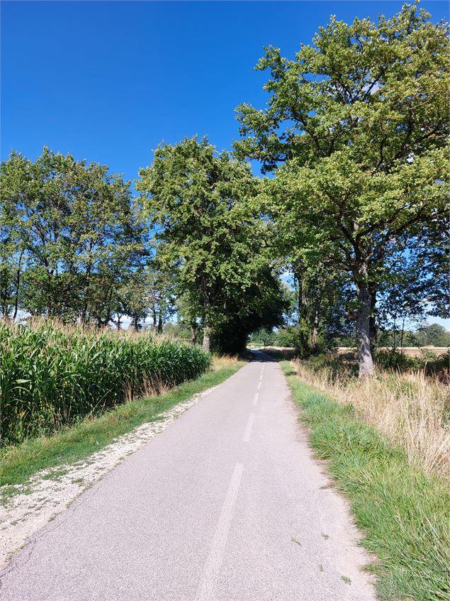 Voie verte des Tattes, 3 km en toute sécurité entre Ornex et Prévessin-Moëns - A. Blanc/Office de To