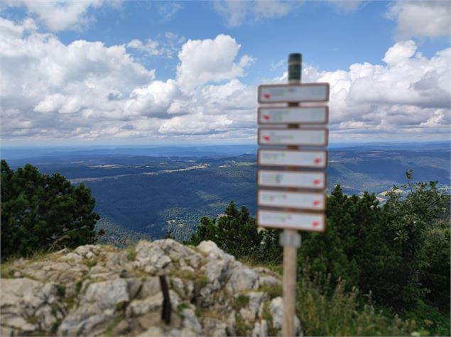 Plus haut sommet du massif Jurassien - ©AMbarbe