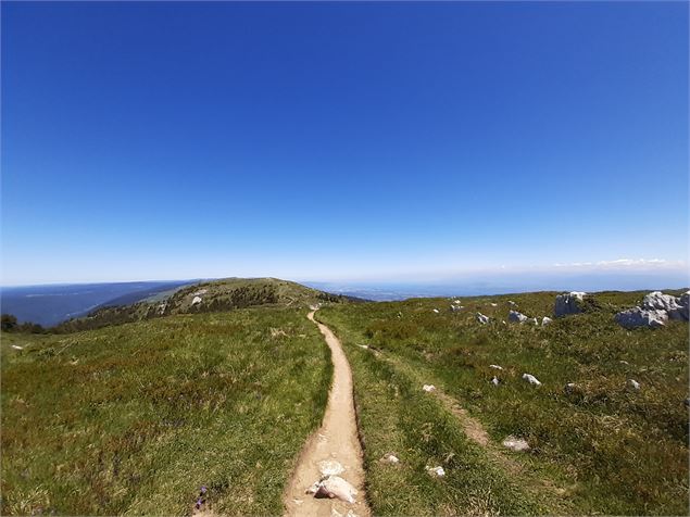 Chemin de retour - ©AMbarbe