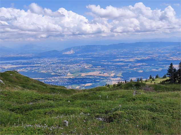 Vue sur le bassin Lémanique - ©AMbarbe