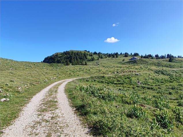 Chemin de randonnée - ©OTpaysdegex