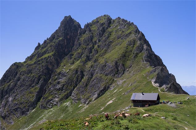 Refuge du Grand Bec - Planay - Geoffrey Vabre