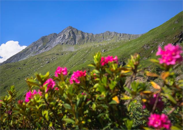 Montée refuge Grand Bec - Geoffrey Vabre