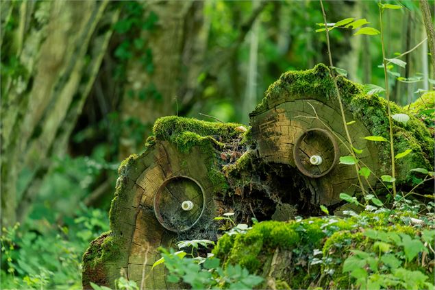 Monstre des Bois - Imagin Studio