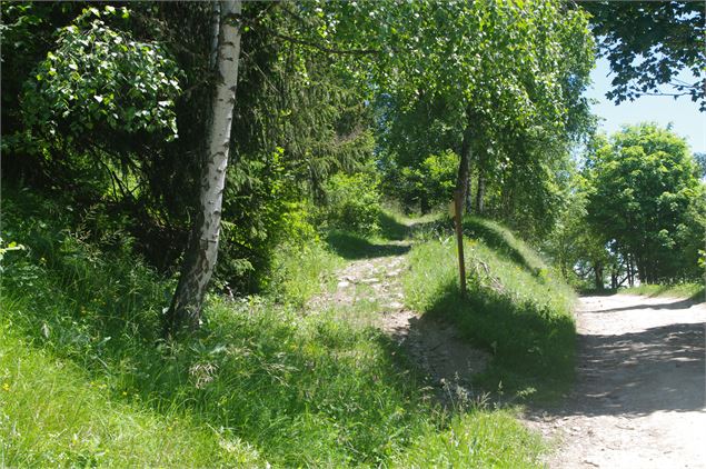 Sentier du Col du Parchit - Feissons sur Salins - Focus Outdoor