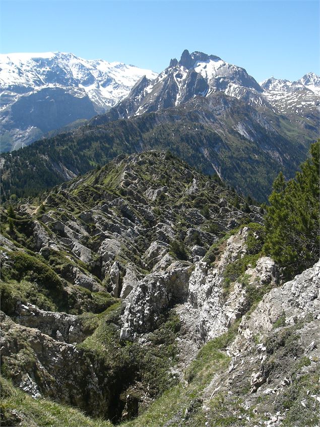 Dent du Villard - Nadia Mousselard