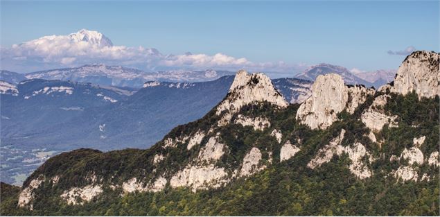 Vue aérienne en ulm - Théa Faure